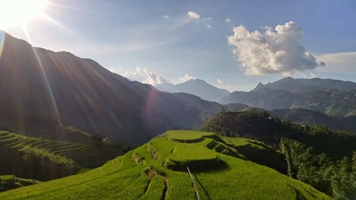 Nguyen Dang Guesthouse Sapa Eksteriør billede